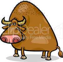 bull or buffalo cartoon illustration