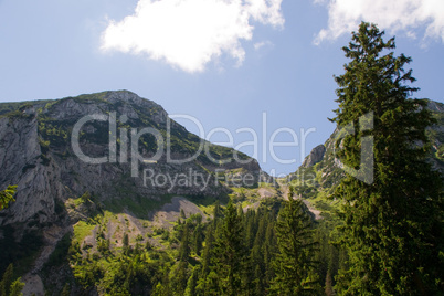 Wendelstein, Gebirge, Berg, Bergkette, Aufstieg, Alpen, Tal, Wanderweg, Oberbayern, Bayern, Bäume, Wald, Alpental, natur, überblick, panorama, hochgebirge, kalkalpen, alpinismus, Wälder, grün, Wiese, Almen, Almenwiese, bergwandern, wandern, abenteuer, abe