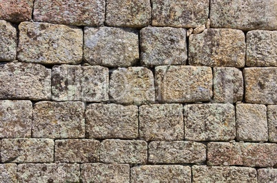 mauer - wall 14