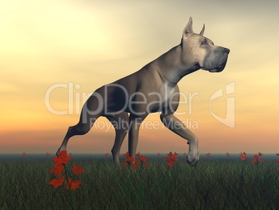 great dane dog - 3d render