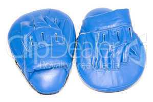 boxing focus mitts
