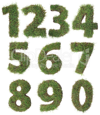 grass numbers cutout