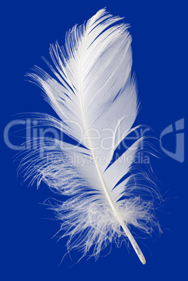 feather cut out