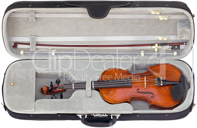 violin in the box cutout