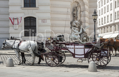 horse-driven carriage