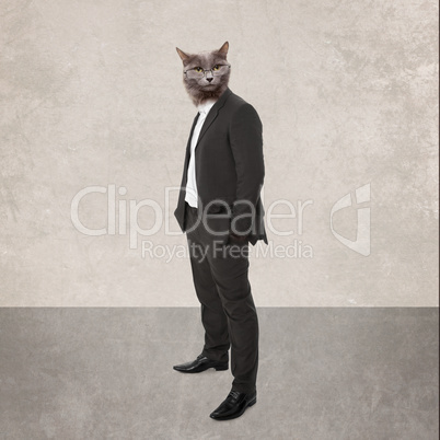 funny fluffy cat in a business suit businessman. collage