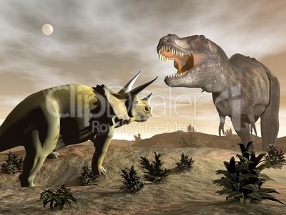 tyrannosaurus roaring at triceratops - 3d render