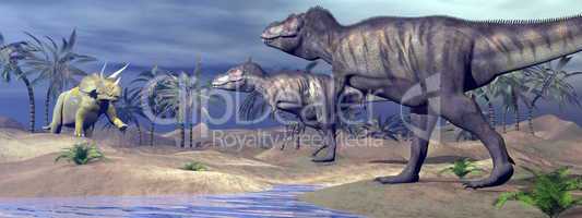 tyrannosaurus attacking triceratops - 3d render