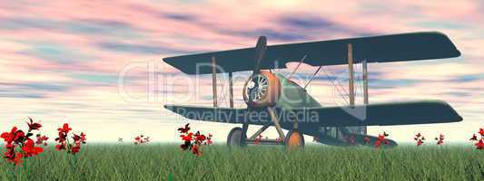 biplane on the grass - 3d render