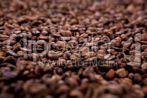 a lot of roasted coffee beans