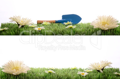 green grass with flowers