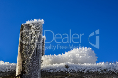 detail of frozen fence