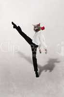 cat dances  tango with a red  flower on  grey background
