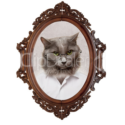 portrait of a cat of the gentleman