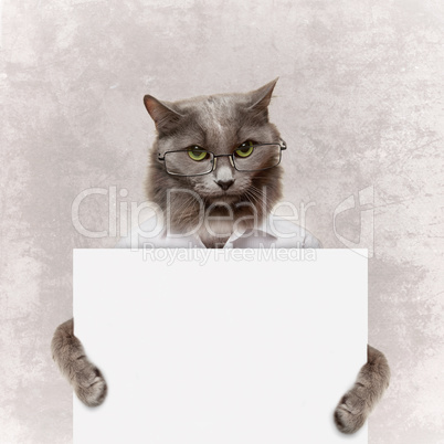 cat holding a white banner