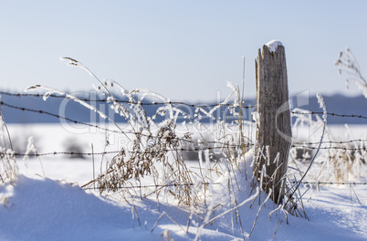 frostiger winterzaun