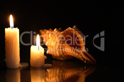 candles and shell