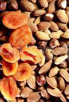 nuts and dried apricots