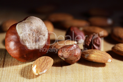 nuts on wood