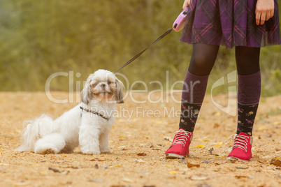 Cute puppy sitting near of feet his little owner