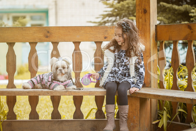 Curly girl sitting in arbor with cute puppy