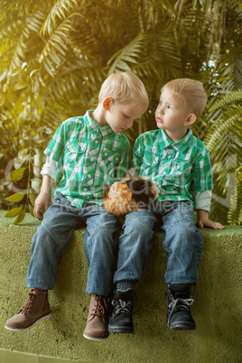 Adorable little twin brothers posing with cavy