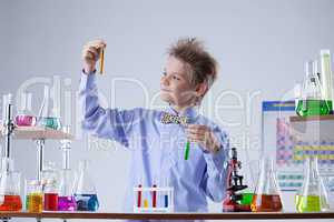 Smart school boy looks at reagents in test tubes