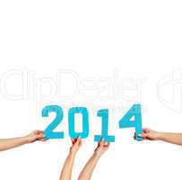 2014 new year celebration