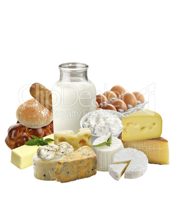 dairy products