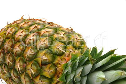ananas - pineapple 11