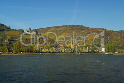 bacharach 04