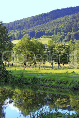 Die Baumreihe am Fluss