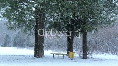 Winter landscape,snowfall in the park,snow in the woods