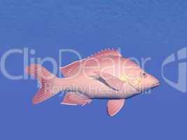 red fish underwater - 3d render