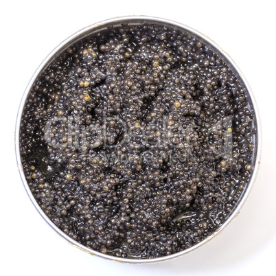 black caviar in metal can, top view
