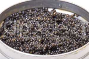 black caviar in metal can, high angle
