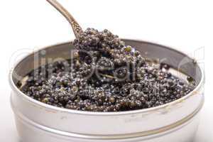 black caviar in spoon from metal can, high angle