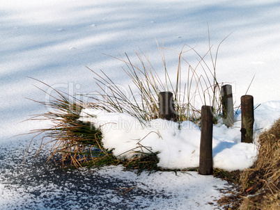 Insel im See im Winter