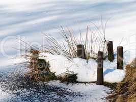 Insel im See im Winter