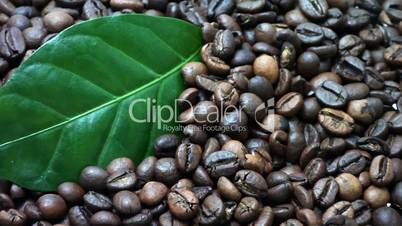 Coffee beans. Coffee tree leaves (Gently rotate).