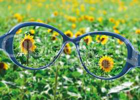 view from reading eyeglasses on beautiful nature view