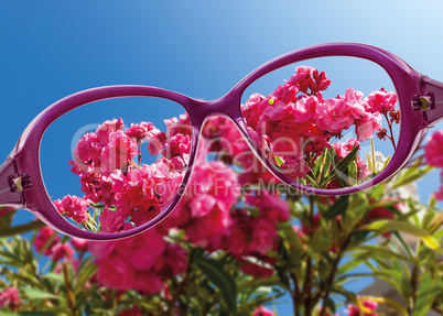 view from reading eyeglasses on beautiful nature view