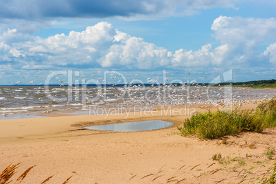 Shore of the Lake Peipus. Estonia