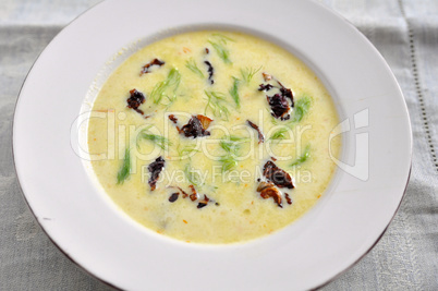 Fenchel Safran Suppe