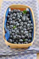 Heidelbeeren, Blaubeeren