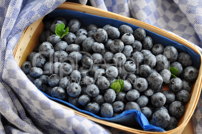 Heidelbeeren, Blaubeeren