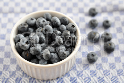 heidelbeeren, blaubeeren