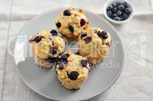 Heidelbeer Vollkorn Muffins