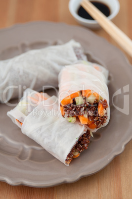 Vegane Asiatische Reispapier Rollen mit Quinoa und Gemüse