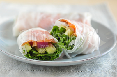 Asiatische Reispapier Rollen mit Lachs